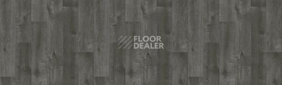 Линолеум Tarkett Bonus DUART 4 фото 1 | FLOORDEALER